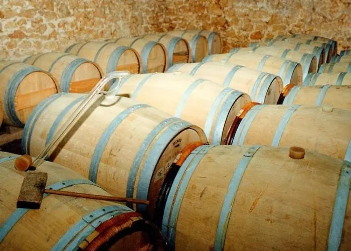 Le Saint Andre 게스트하우스 3*